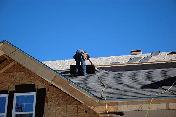 Best Flat Roof Repair Services  in Hampton, IL