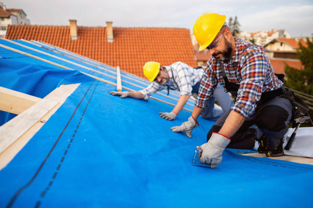 Best Residential Roofing Contractor  in Hampton, IL