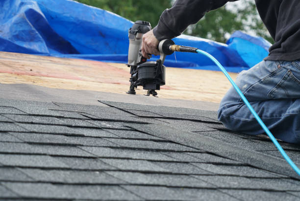 Best New Roof Installation  in Hampton, IL