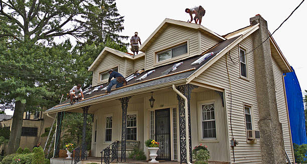 Best Tile Roofing Contractor  in Hampton, IL