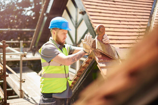 Best Best Roofing Contractors  in Hampton, IL