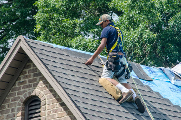 Best Residential Roofing Contractor  in Hampton, IL